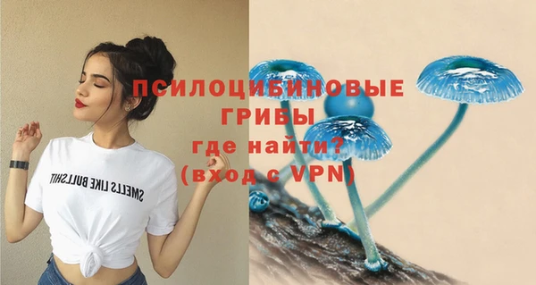 Альфа ПВП Строитель