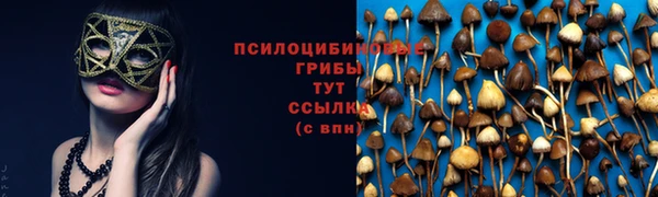 прущая мука Алзамай