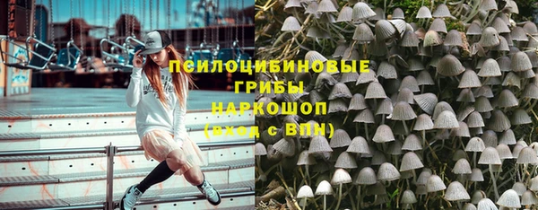 бошки Алексеевка