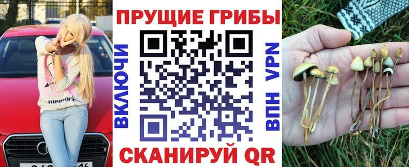 Псилоцибиновые грибы ЛСД  где найти   Артёмовск 