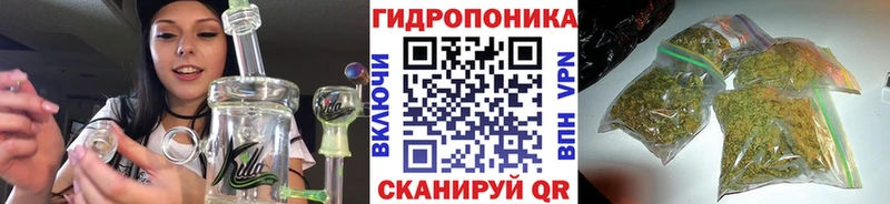 купить закладку Артёмовск Бошки Шишки White Widow